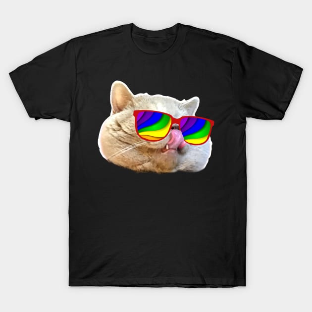 Crazy Sunglasses Cat T-Shirt by SolarFlare